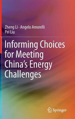 Informing Choices for Meeting China’s Energy Challenges
