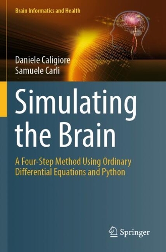 Simulating the Brain