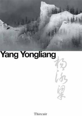 Yang Yongliang: New Landscapes
