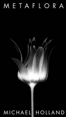 Metaflora