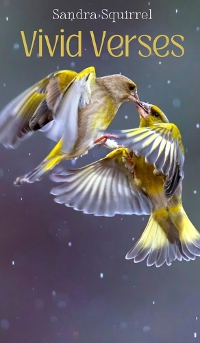 Vivid Verses