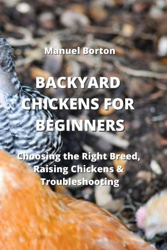 Backyard Chickens for Beginners