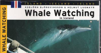 Whale Watching in Iceland