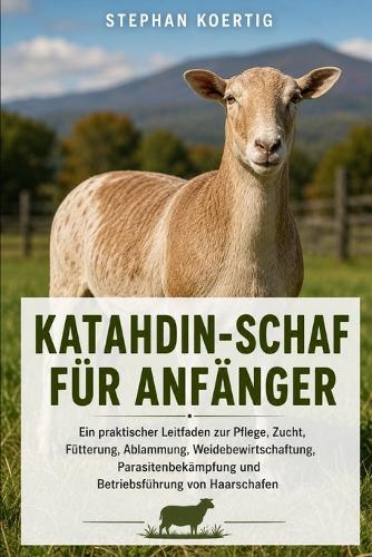 Katahdin-Schaf Für Anfänger