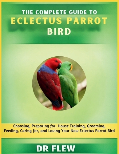 The Complete Guide to Eclectus Parrot Bird
