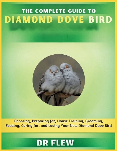 The Complete Guide to Diamond Dove Bird