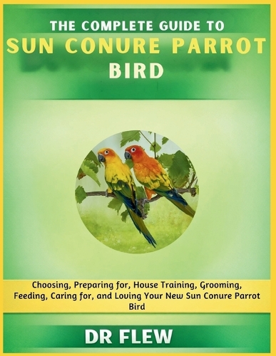 The Complete Guide to Sun Conure Bird