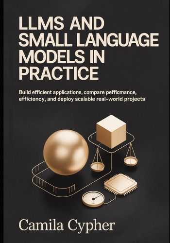 LLMs and Small Language Models in Practice