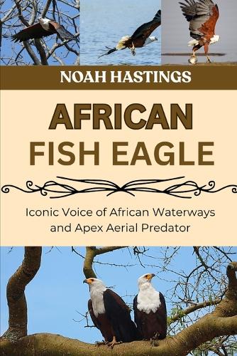 African Fish Eagle