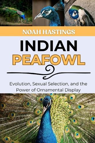 Indian Peafowl