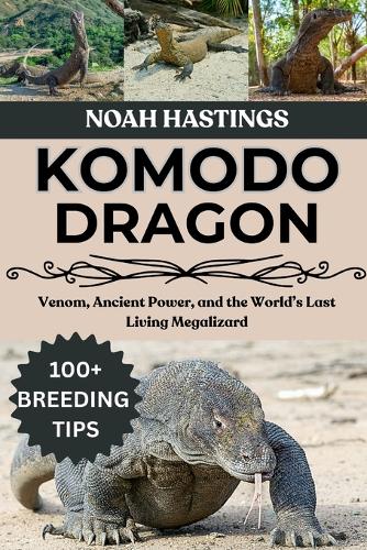 Komodo Dragon