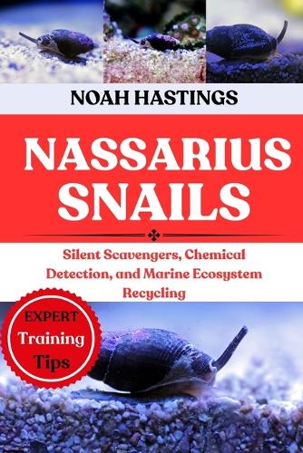 Nassarius Snails
