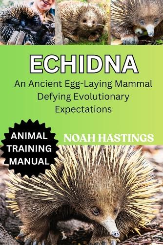 Echidna