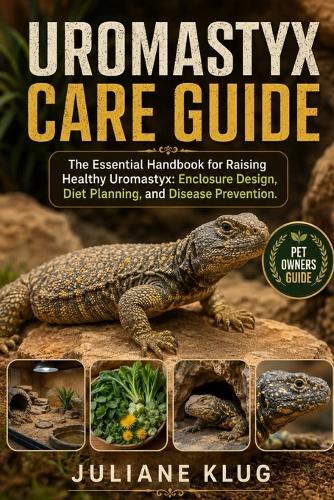 Uromastyx Care Guide