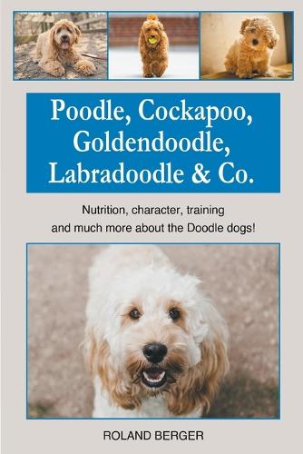 Poodle, Cockapoo, Goldendoodle, Labradoodle & Co.