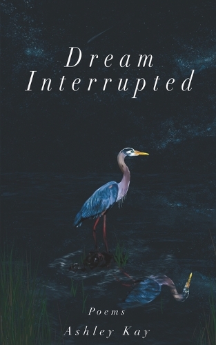 Dream Interrupted