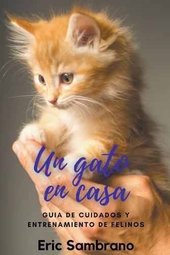 Un Gato en Casa