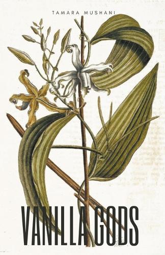 Vanilla Gods