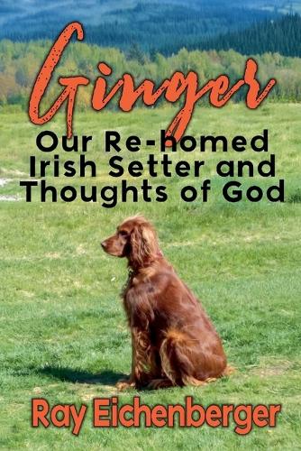Ginger- Our Re-homed Irish Setter and Thoughts of God