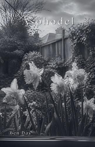 Asphodel