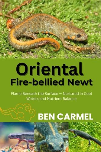 Oriental Fire-Bellied Newt