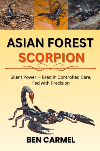 Asian Forest Scorpion