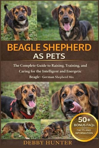 Beagle Shepherd as Pets