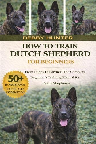 How to Train Dutch Shepherd for Beginners