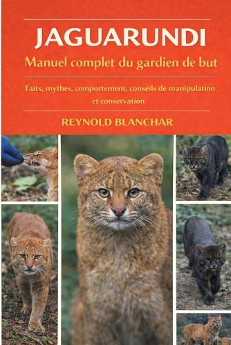 Jaguarundi