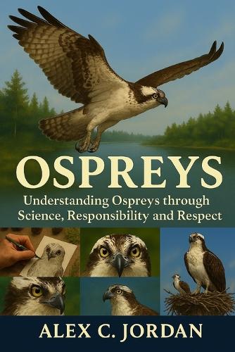 Ospreys