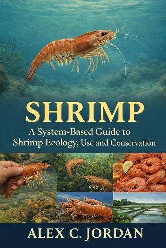 Shrimps