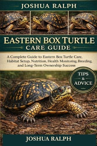 Eastern Box Turtle Care Guide