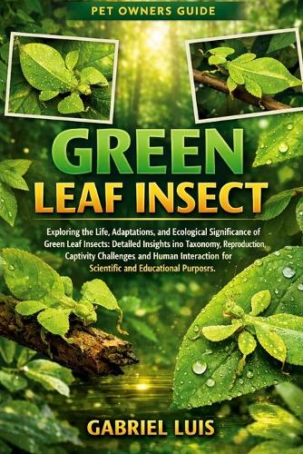 Green Leaf Insect