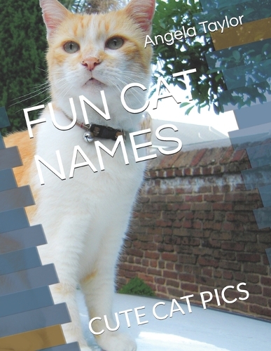 Fun Cat Names