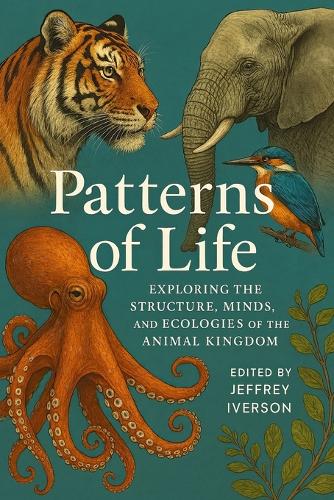 Patterns of Life