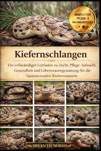 Kiefernschlangen