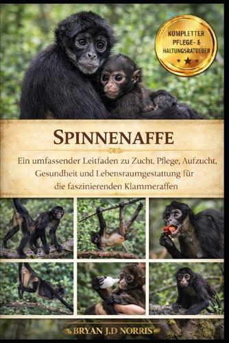 Spinnenaffe
