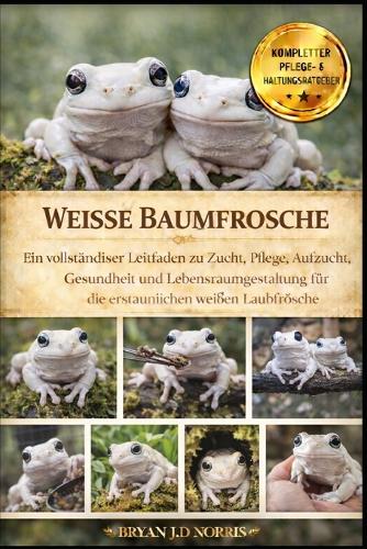 Weisse Baumfrosche
