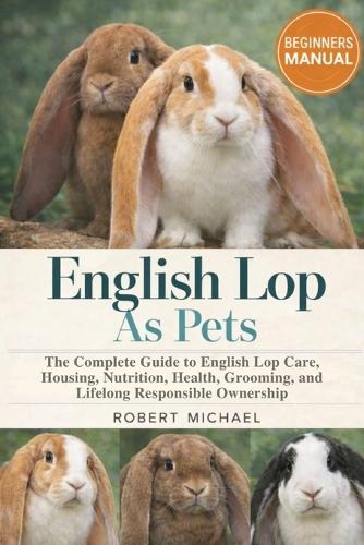 English Lop as Pets
