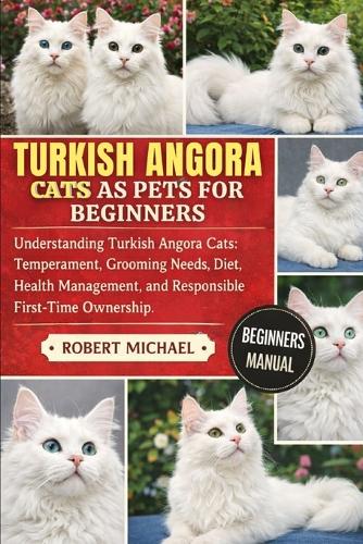 Turkish Angora Cats as Pets for Beginners