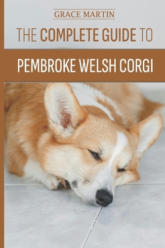 The Complete Guide To Pembroke Welsh Corgi