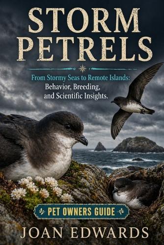 Storm Petrels