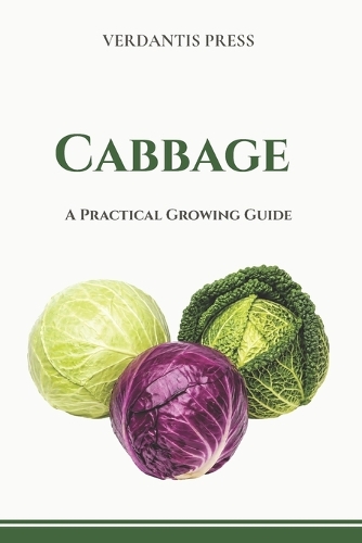 Cabbage