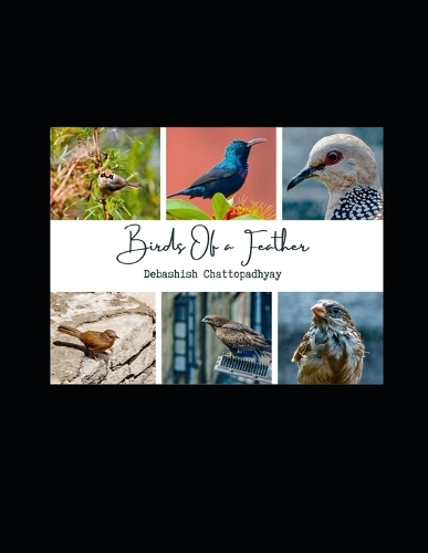 Birds Of a Feather
