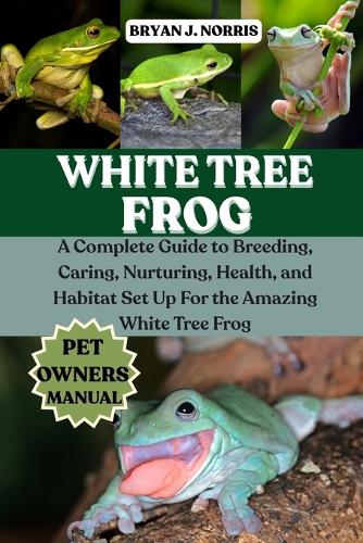 White Tree Frogs