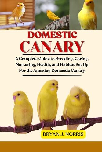 Domestic Canaries