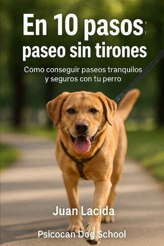 En 10 pasos