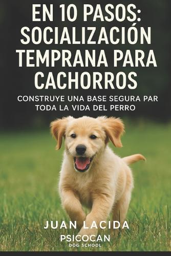 En 10 pasos