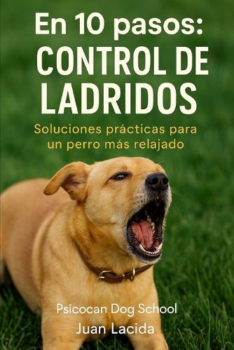 En 10 pasos