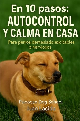 En 10 pasos